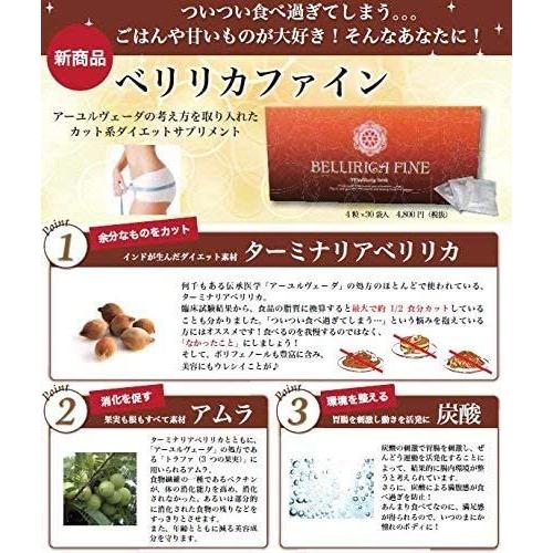 【栄養補助食品】 “ベリリカファイン ４８ｇ（４００ｍｇＸ4粒Ｘ３０袋）” ターミナリアベリリカ抽出加工食品｜shop-yukia｜02