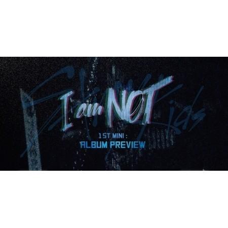 stray kids スンミン i am not sc ポラロイド 【公式通販】