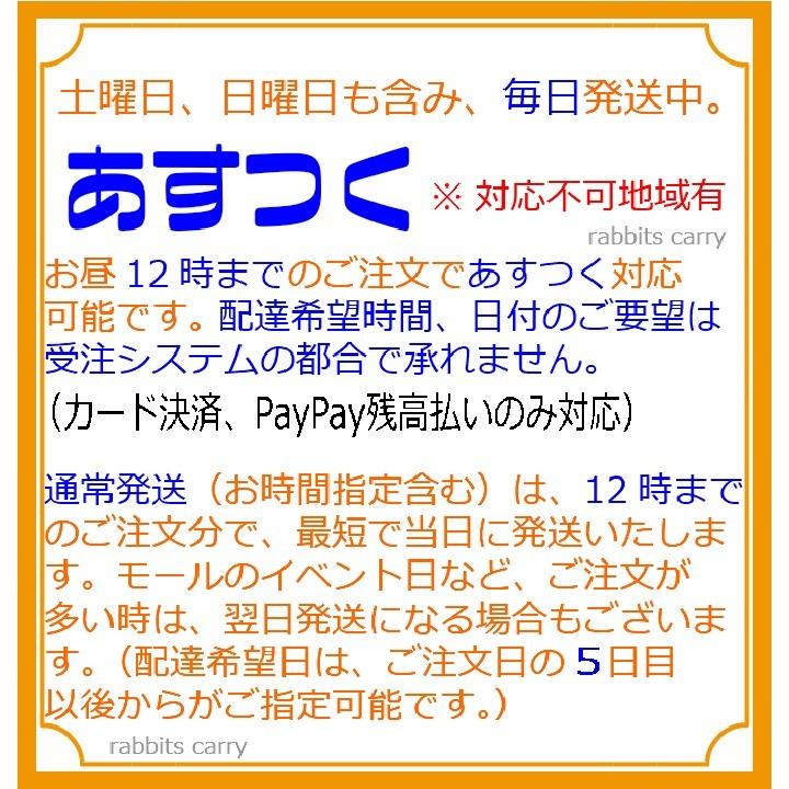 ２点セット ダイソン ロングパイプ グレー カーボンファイバーモーターヘッド 幅250mm Dc61 Dc62 V6 Dy010 ラビッツキャリー Yahoo 店 通販 Yahoo ショッピング