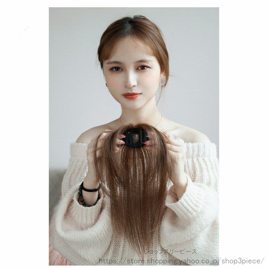 2color 3D構造部分ウィッグ ヘアピース 女性 ウイッグ かつら 付け毛