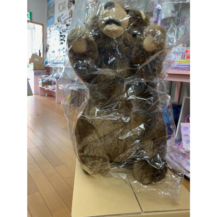 エゾ熊 カミングベアBIG 北海道限定☆愛ラブHOKKAIDO ぬいぐるみ ＜立