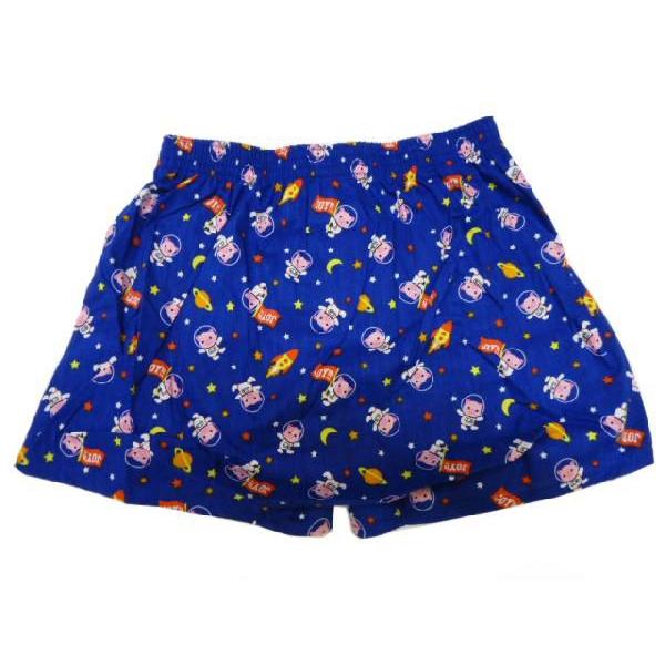 トランクス、ブルマ ドラゴンボールZ トランクスとブルマ - メルカリ