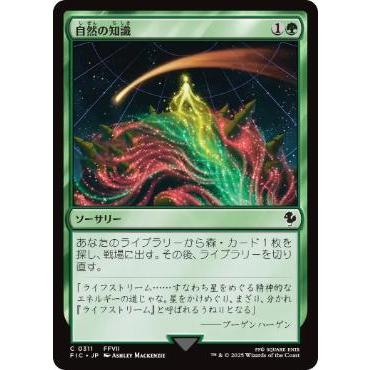 緑の旧枠優良カード20枚まとめ売り（英語）ほくちの壁 自然の知識 他 MTG MTG □緑/日本語版□ (311)《自然の知識/Nature's Lore》ファイナル