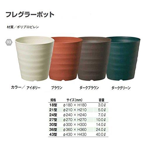 大和プラスチック (ACTOR) 鉢・プランター フレグラーポット 24型 アイボリー 奥行24×高さ24×幅24cm｜shopa｜03