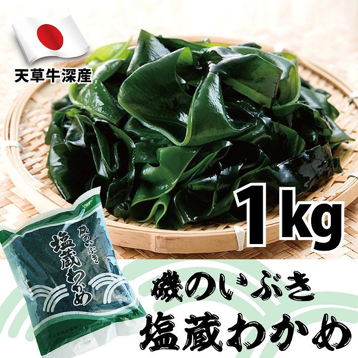 新物わかめ 国産 塩蔵わかめ 1kg(1000g) 業務用 天草牛深産 ミネラル