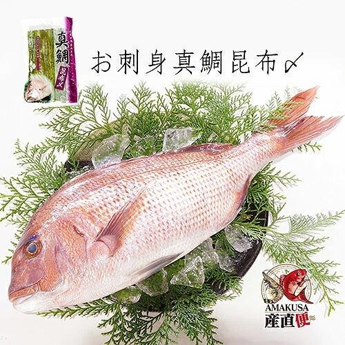 最大44 Offクーポン 真鯛昆布〆 0g 単品 天草 牛深 冷凍 お刺身シリーズ 海鮮 グルメ お刺身 天草灘一ブランド 九州熊本 マダイ たい 流水解凍後お刺身として Supplystudies Com