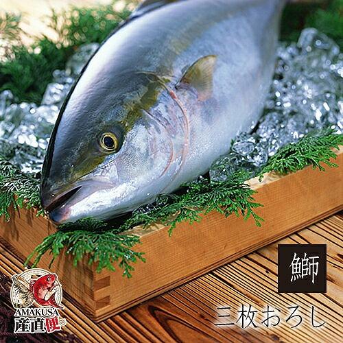 ブリフィレ半身×2枚 鰤 三枚卸 送料無料 刺身 塩焼き　天草ぶり