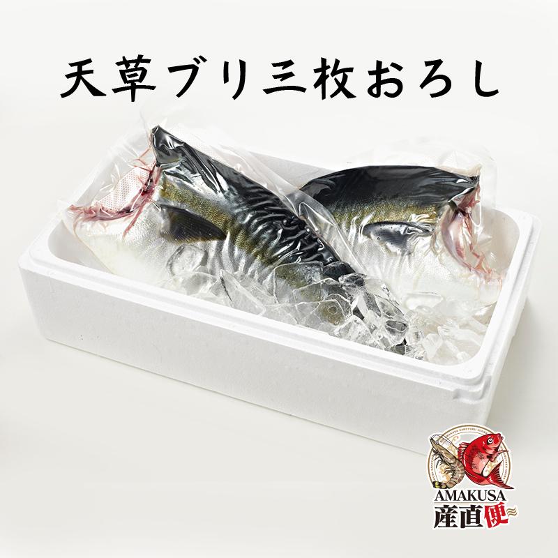 ブリフィレ半身×2枚 鰤 三枚卸 送料無料 刺身 塩焼き　天草ぶり_1