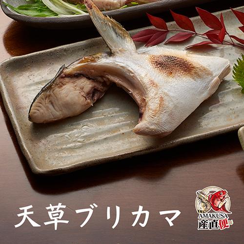ブリフィレ半身×2枚 鰤 三枚卸 送料無料 刺身 塩焼き　天草ぶり_4