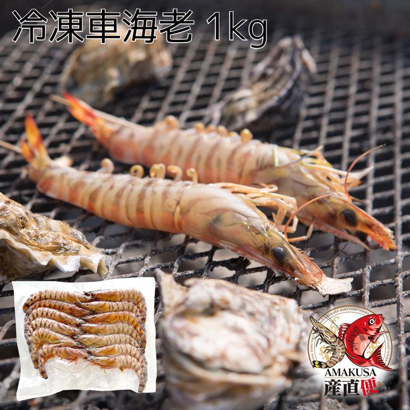 冷凍車海老1kg250g ４pc 海鮮ギフト 食べ物 くるまえび 海老 クルマエビ えび エビ バーベキュー 海老フライ Kurumaebi Yano4 Amakusa産直市場便 通販 Yahoo ショッピング