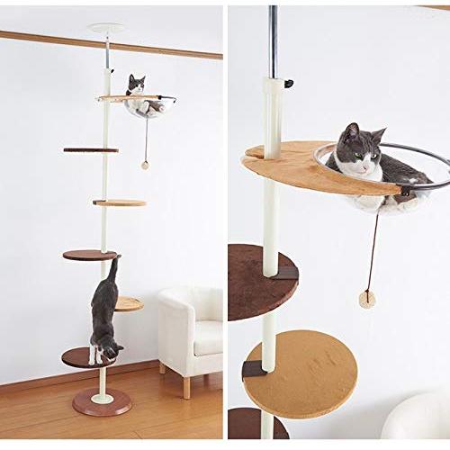 【初期/レア】 ボンビアルコン (Bonbi) キャットポールクリアハンガー 【2634399338】(15826円)