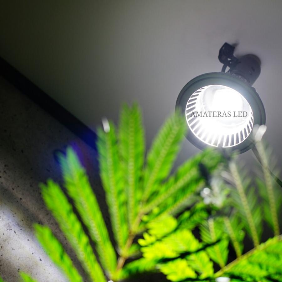 AMATERAS LED 20W AuelJJBS3M, ペット用品、生き物 - www.studiofutureforward.com