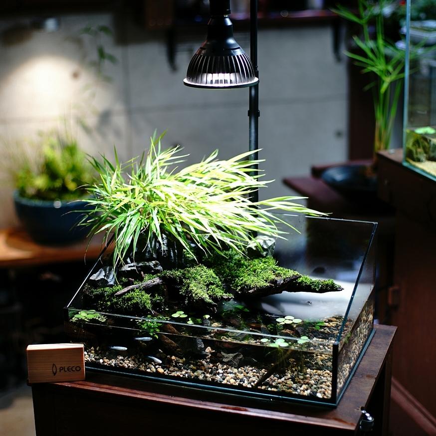 新品、本物、当店在庫だから安心】 中古 AMATERAS LED 20W 植物育成 新品、本物、当店在庫だから安心】 中古 AMATERAS LED 20W 植物育成