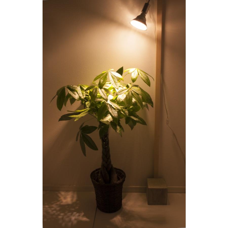 BARREL公式 植物育成LEDライト プラントクリップセット SUN-18W BARREL公式 植物育成LEDライト プラントクリップセット SUN-18W