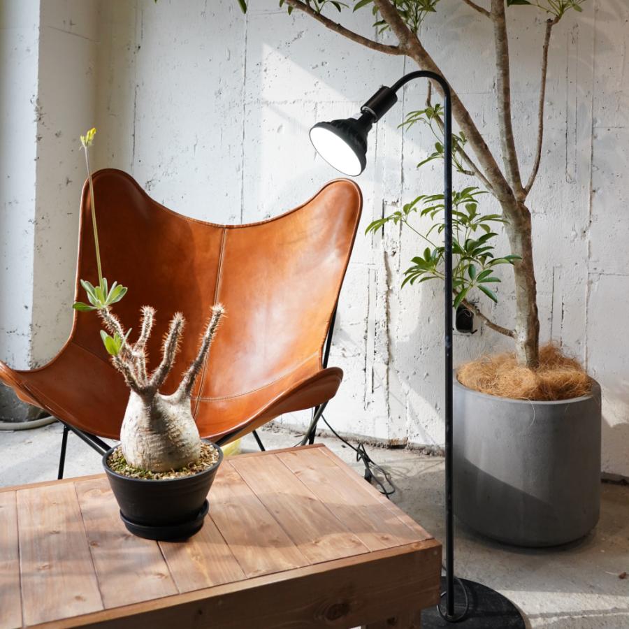 BARREL公式 フレキシブルアームライトスタンド ブラック 高さ