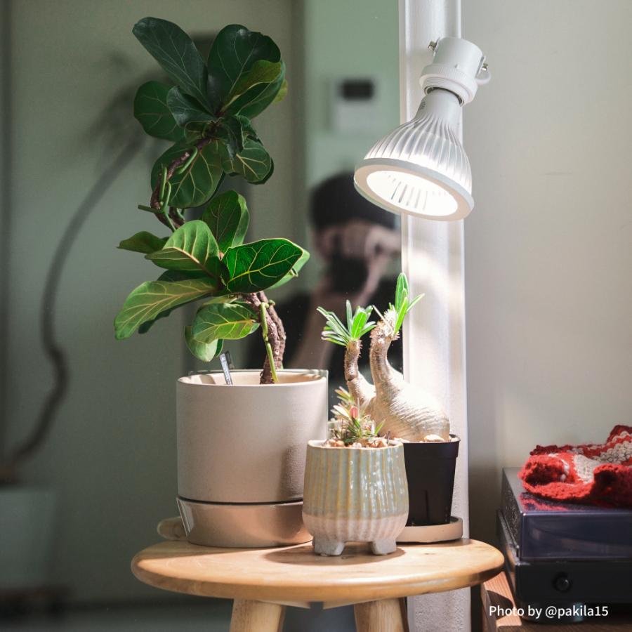 Clamp lamp socket】角度調整可能 コード一体型 : SHOPBARREL - 通販