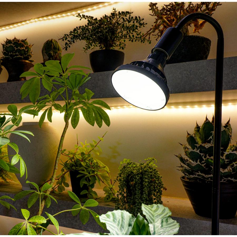 BARREL公式 防水LED電球 植物育成ライト SUN 塊根植物 観葉植物 BARREL公式 防水LED電球 植物育成ライト SUN 塊根植物 観葉植物