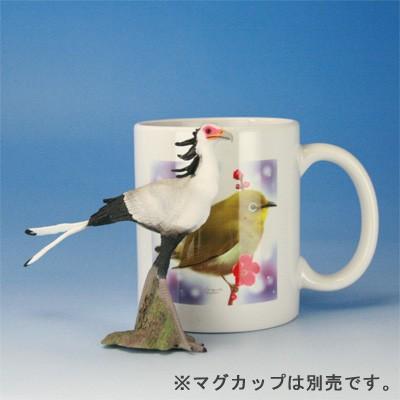COLLECTA フィギュア 鳥 猛禽 ヘビクイワシ : バーディスト・ビー 