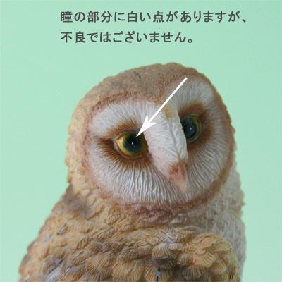 ガーデンオーナメント 鳥 フクロウ ふくろう 小 Ａ サイズ 高さ 12cm 野川農園 ポリレジン メンフクロウ ガーデンオブジェ 庭｜shopbirdistbee｜04