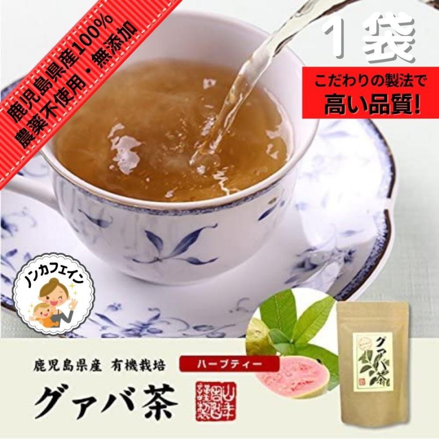 国産 100 グァバ茶 3g 16パック ティーパック ノンカフェイン 鹿児島県産 無農薬 巣鴨のお茶屋さん 山年園 2440 Shop ブルースカイ 通販 Yahoo ショッピング