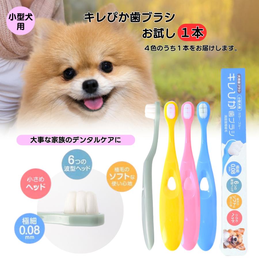 犬 歯ブラシ 歯みがき 小型犬用 キレぴか 1本 お試し用 送料無料 犬の