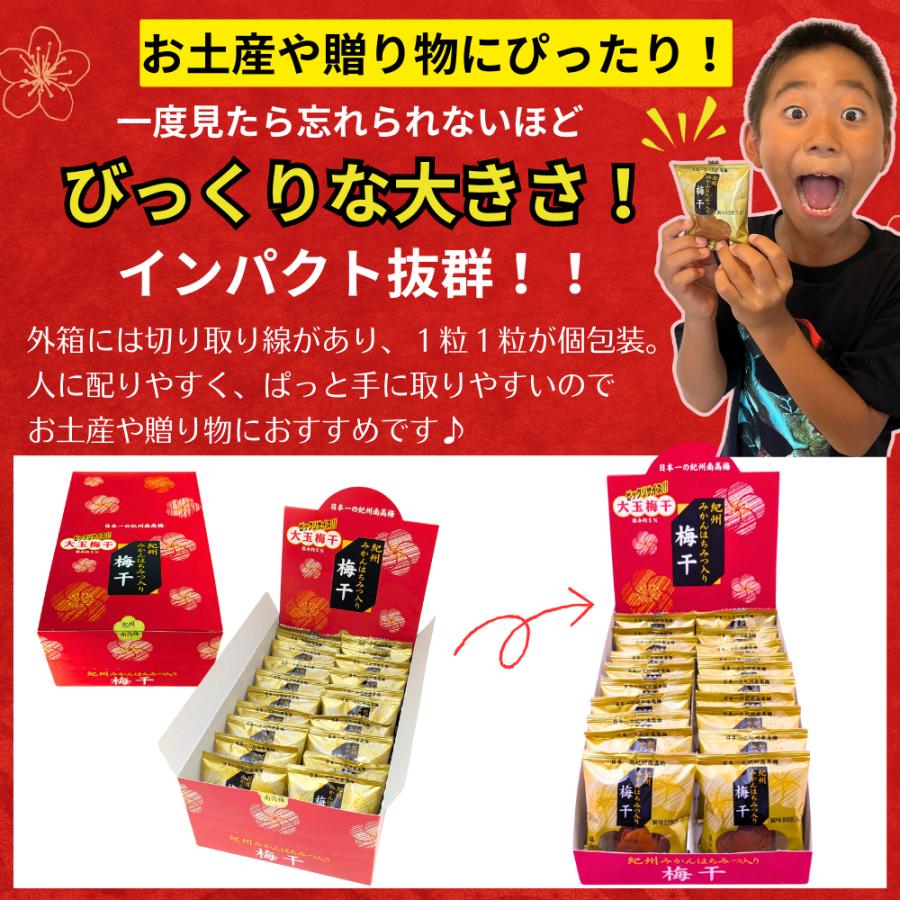 丸長水産 紀州南高梅 みかん蜂蜜入り 梅干し 大玉 ビックリ