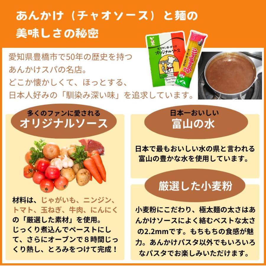 愛知 豊橋名物 スパゲッ亭 チャオ パスタセット 約2人前 オリジナル