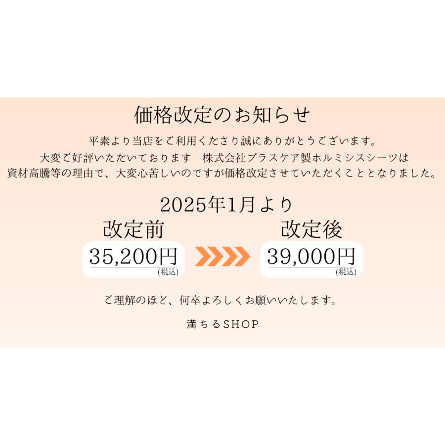 プラスケア ホルミシスシーツ ホルミシス 岩盤浴 ラドン浴 プラスケア ホルミシスシーツ ホルミシス 岩盤浴 ラドン浴