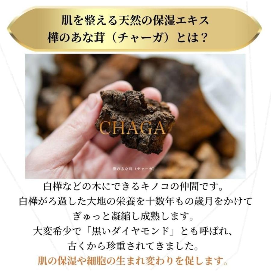 天恵ローション 樺のあな茸エキス チャーガ 化粧水 エクソソーム