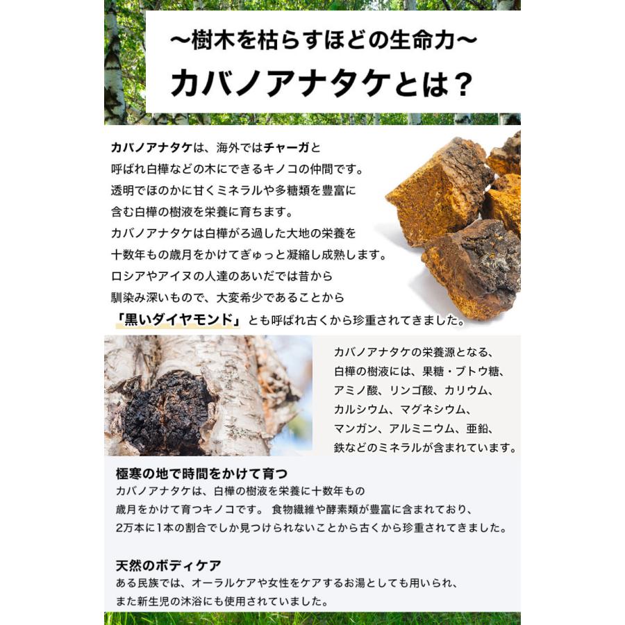 樺のあな茸茶 1g×30包入 カバノアナタケ茶 プラスケア 公式 チャーガ茶 