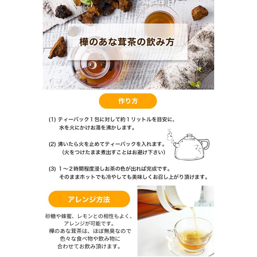 樺のあな茸茶 1g×30包入 カバノアナタケ茶 プラスケア 公式 チャーガ茶