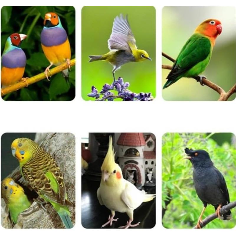 大型 鳥かご セキセイインコケージ 手乗りインコ ステンレス素材 ステンレススチールシャーシが付属 ステンレス製スタンディングスティック ユニバーサルホイー_1