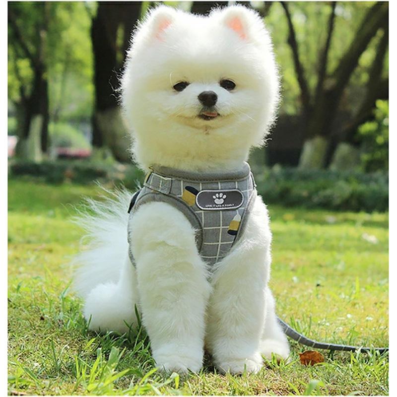 犬用 ハーネス リードセット 小型犬 ペット おしゃれ 可愛い ベスト 軽量 調節可能 胴輪 チェック柄 メッシュ ハーネス 猫用 反射テープ 安全 通気性 簡単着脱 :bmcw13:ショップBMBM - 通販 - Yahoo!ショッピング 犬用 ハーネス リードセット 小型犬 ペット おしゃれ 可愛い ベスト 軽量 調節可能 胴輪 チェック柄 メッシュ ハーネス 猫用 反射テープ 安全 通気性 簡単着脱 :bmcw13:ショップBMBM - 通販 - Yahoo!ショッピング