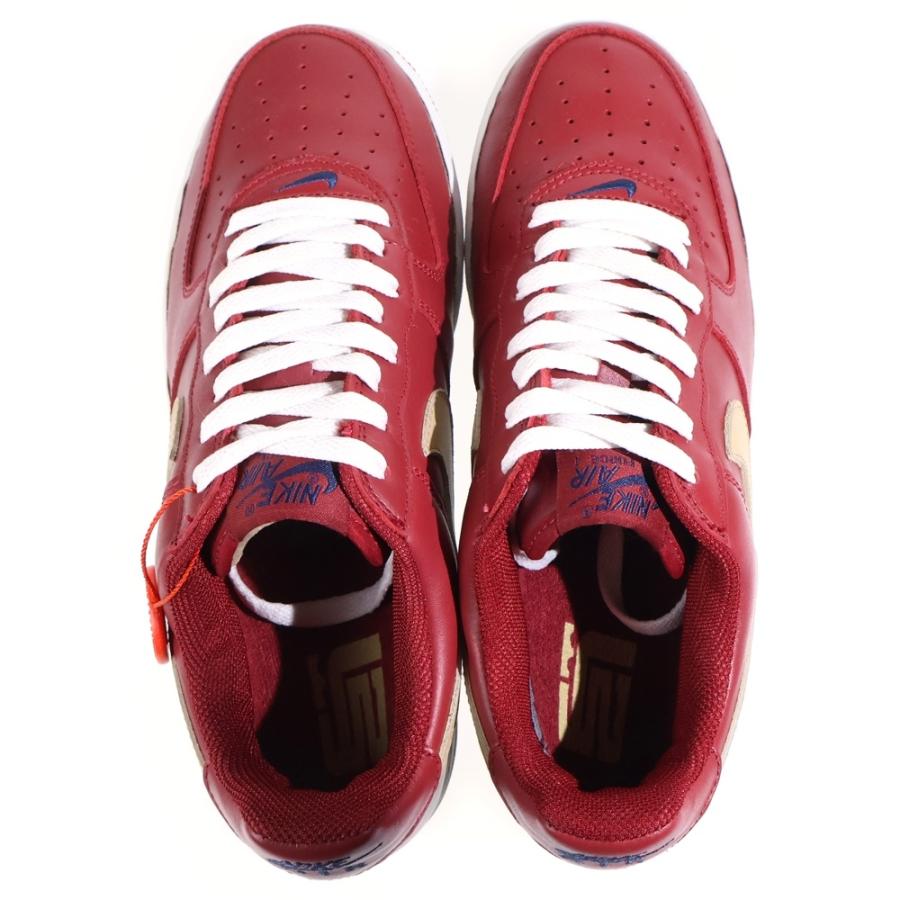 NIKE（ナイキ） 【観賞用】×レブロンジェームス Air Force 1 エア 