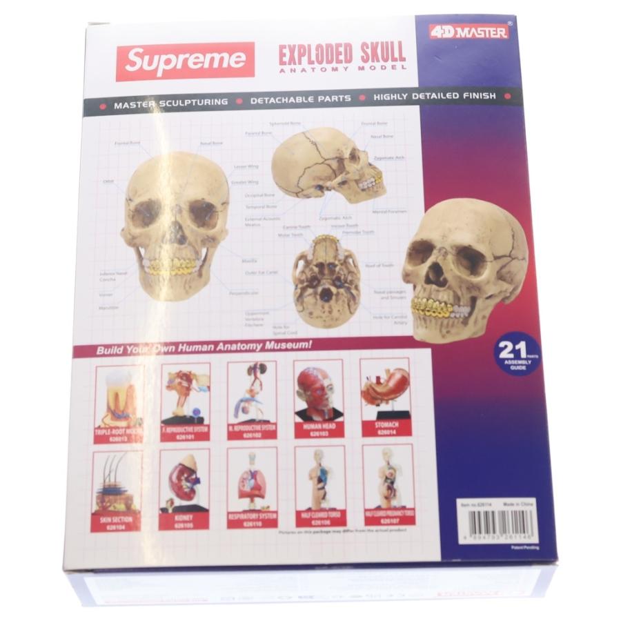 Supreme シュプリーム 4D 頭蓋骨模型 ナチュラル Supreme（シュプリーム） 23AW 4D Model Human Skull Natural 4Dモデル