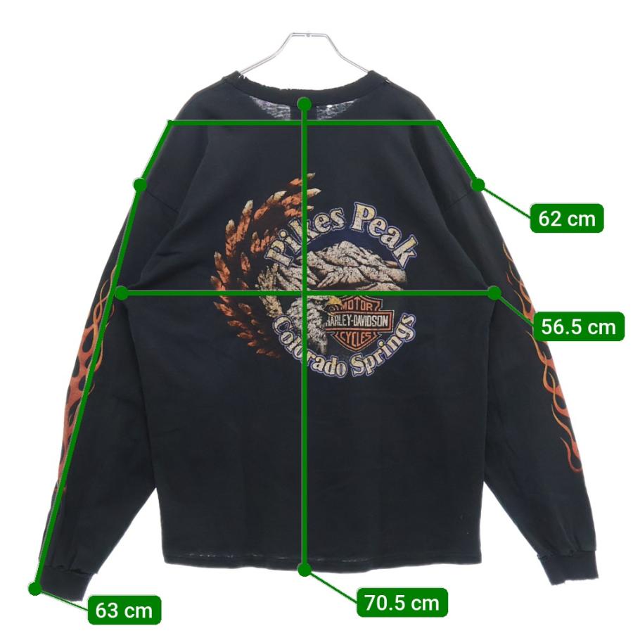 Harley-Davidson 長袖カットソー ロンT 袖プリ90s 00s Harley Davidson HARLEY DAVIDSON ハーレーダビッドソン 90-00s