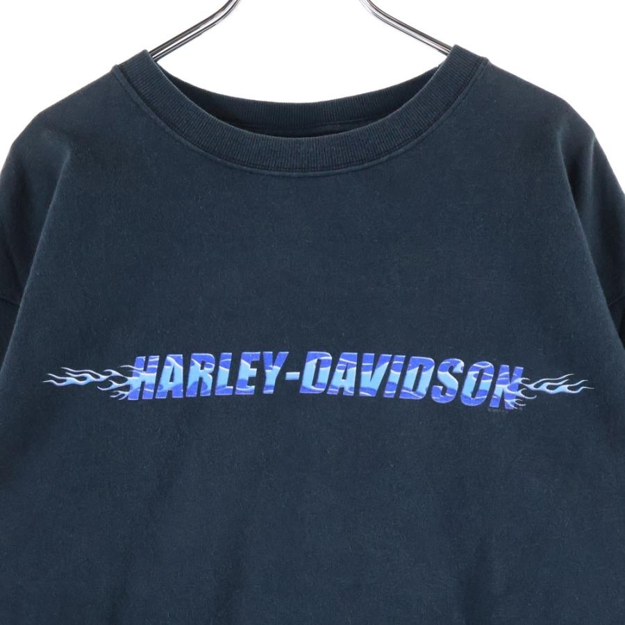 90s-00s Harley-Davidson フレイム ロンT USA製 rare］90's USA製 Harley-Davidson”ターコイズ フレイム”ロンT | Rico