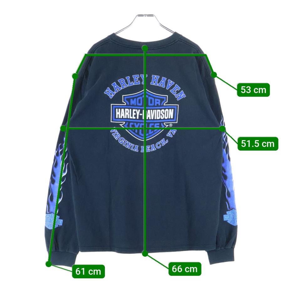 ハーレーダビッドソン フレイム ロンT 00s Harley Davidson（ハーレー・ダビッドソン） 00s VINTAGE BLUE FLAME L