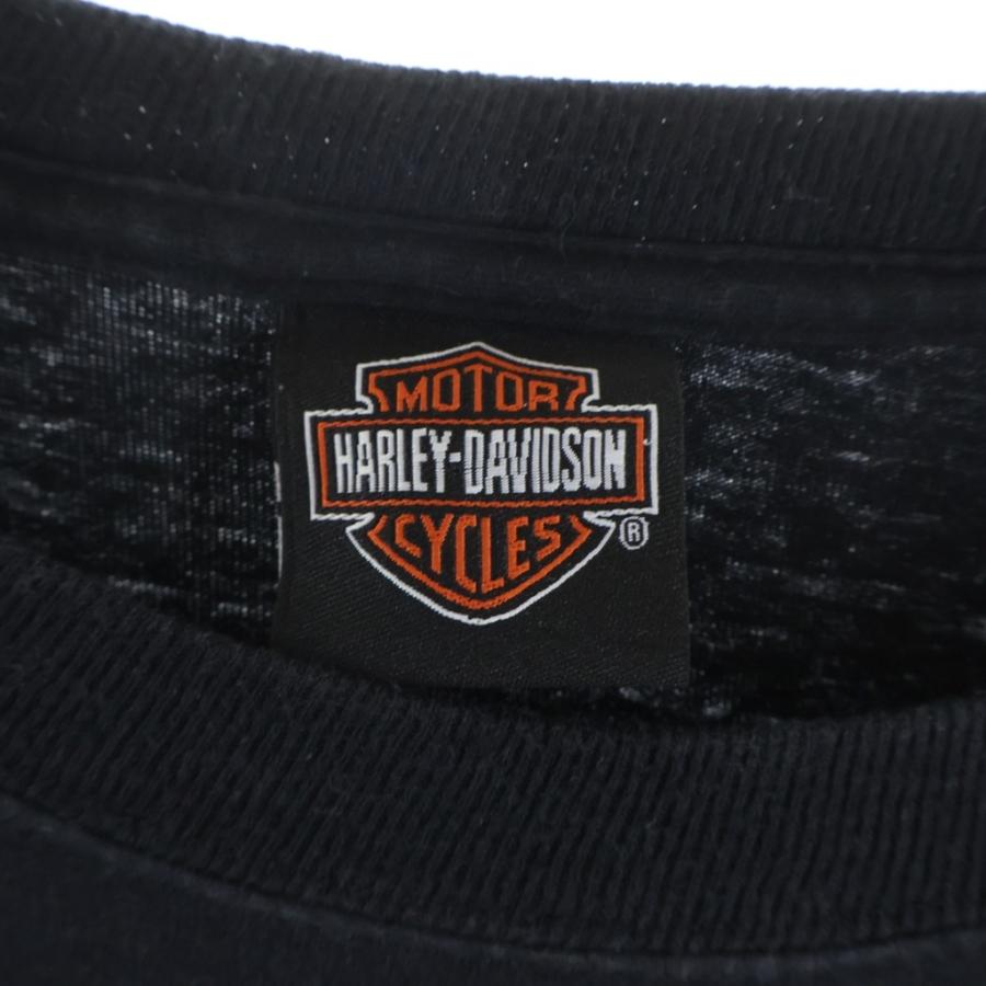 Harley Davidson（ハーレー・ダビッドソン） 00s Clover Green Flame L