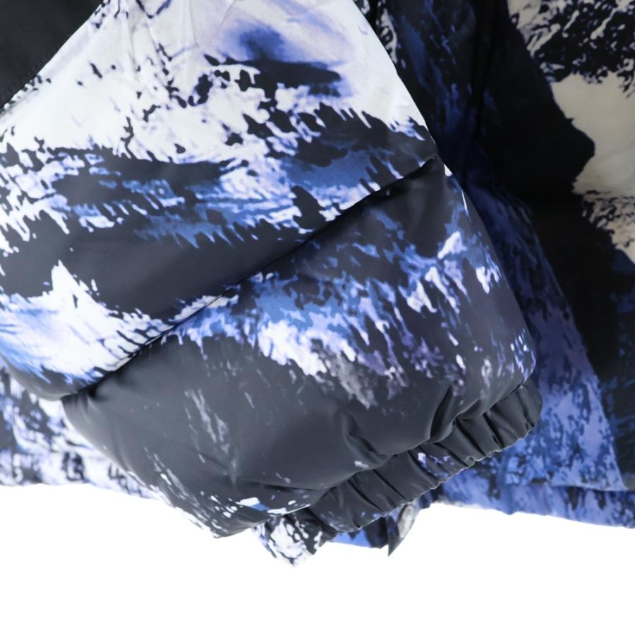 Supreme（シュプリーム） 17AW ×THE NORTH FACE Mountain Baltoro
