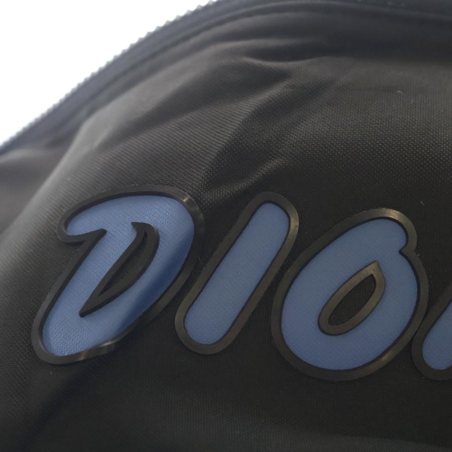 Dior HOMME ディオールオム ×KAWS カウズ ロゴ ナイロンウェストバッグ