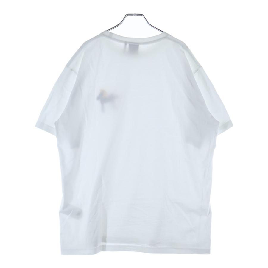 Christian Dior クリスチャンディオール 26SS Horse ホース リラックス フィット 半袖Tシャツ 683J624A0677_C089の画像