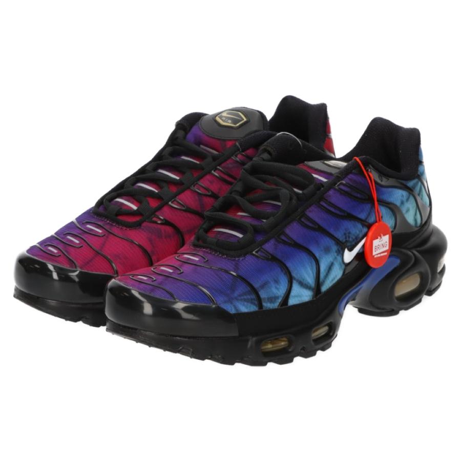 Nike SB ナイキエスビー エアマックスプラス 25周年アニバーサリー  