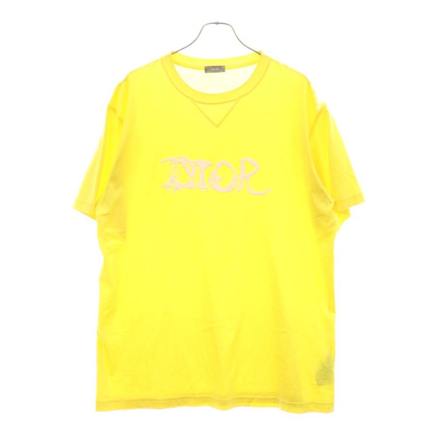 DIOR ディオール 21AW ×PETER DOIG ピータードイグ フロントロゴ半袖T 