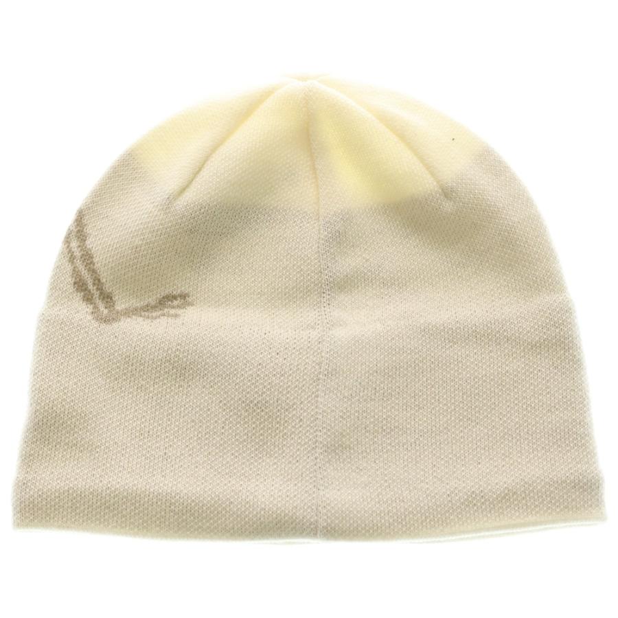 ARC'TERYX（アークテリクス） Bird Head Toque バードヘッドトゥーク