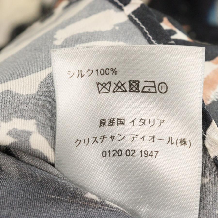 DIOR ディオール 19AW ×RAYMOND PETTIBON 943C553A4705 レイモンド