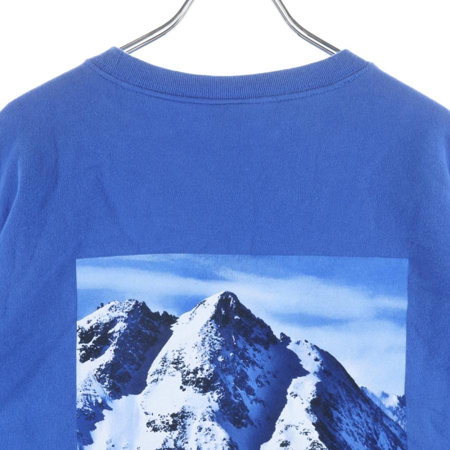 Supreme（シュプリーム） ×THE NORTH FACE 17FW Mountain Crewneck 