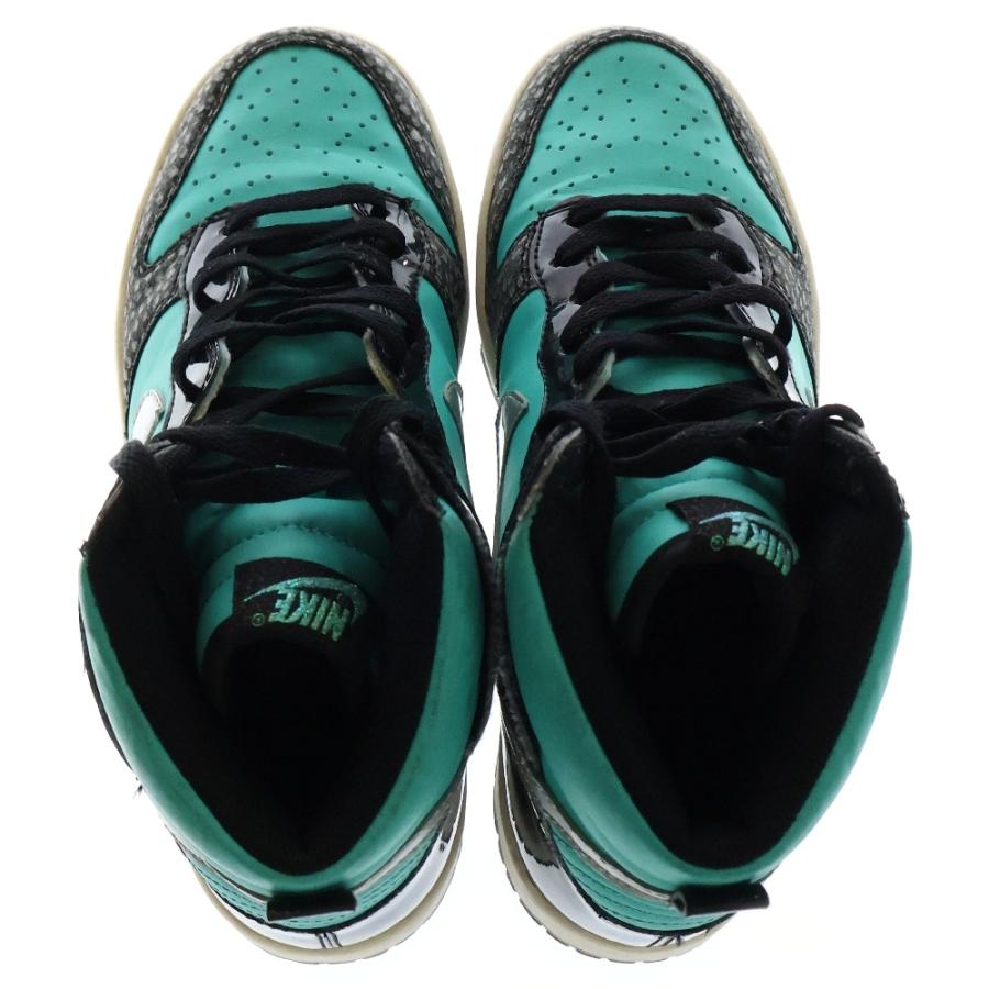 NIKE（ナイキ） 【観賞用 2010年製】DUNK HIGH GS Black Retro Silver