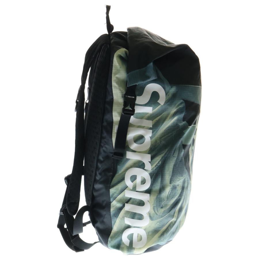 Supreme（シュプリーム） 19AW ×THE NORTH FACE スタチュー オブ