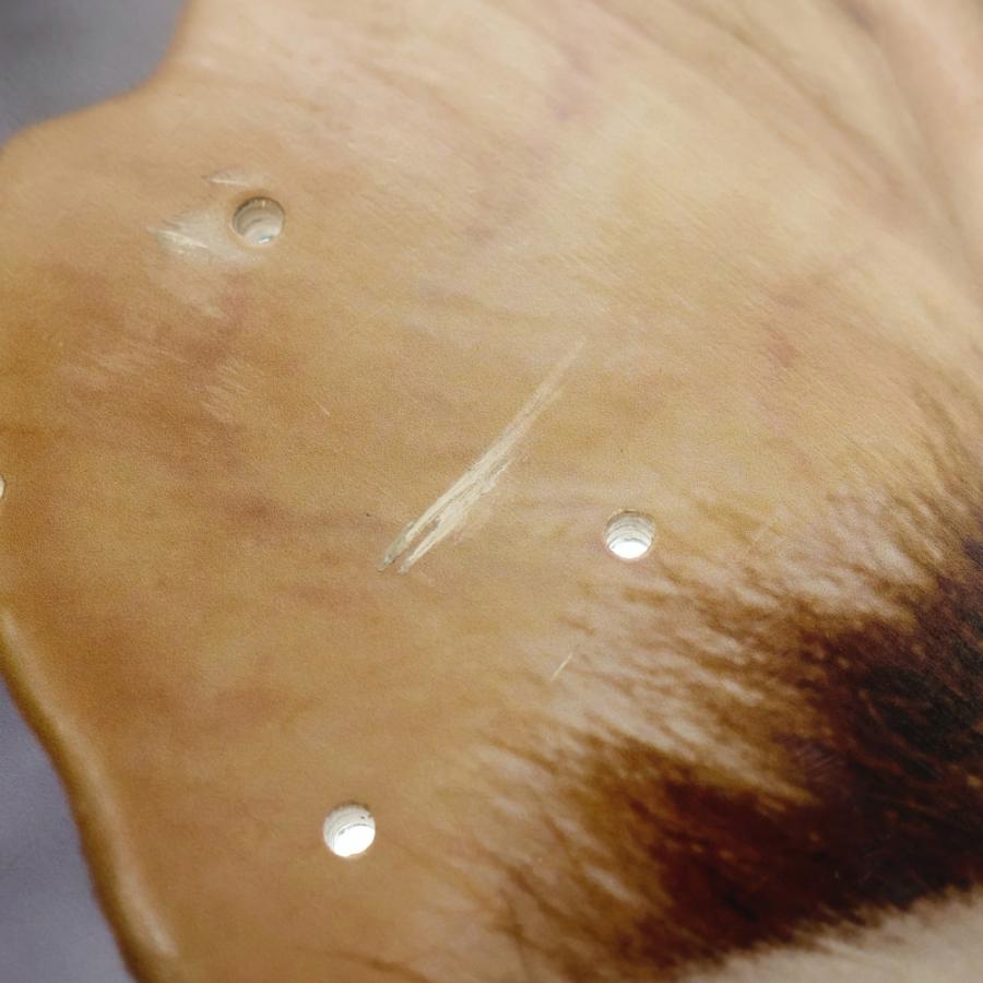 Supreme SUPREME シュプリーム 22AW Gremlins Skateboard Deck Gizmo